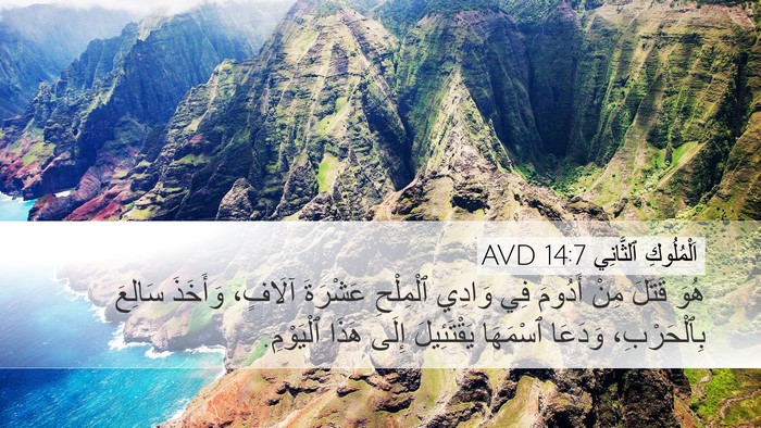 اَلْمُلُوكِ ٱلثَّانِي 14:7 AVD Desktop Wallpaper - هُوَ قَتَلَ مِنْ أَدُومَ - Desktop Bible Verse Wallpaper