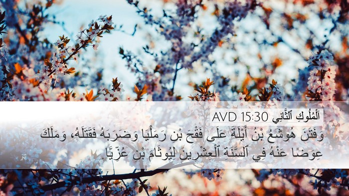 اَلْمُلُوكِ ٱلثَّانِي 15:30 AVD Bible Verse Image