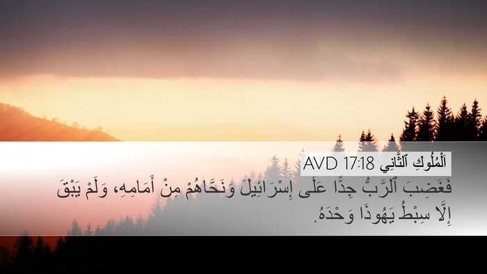 اَلْمُلُوكِ ٱلثَّانِي 17:18 AVD Bible Verse Image