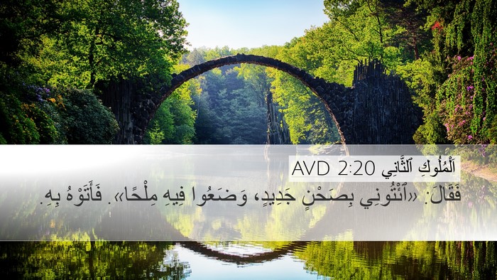 اَلْمُلُوكِ ٱلثَّانِي 2:20 AVD Bible Verse Image