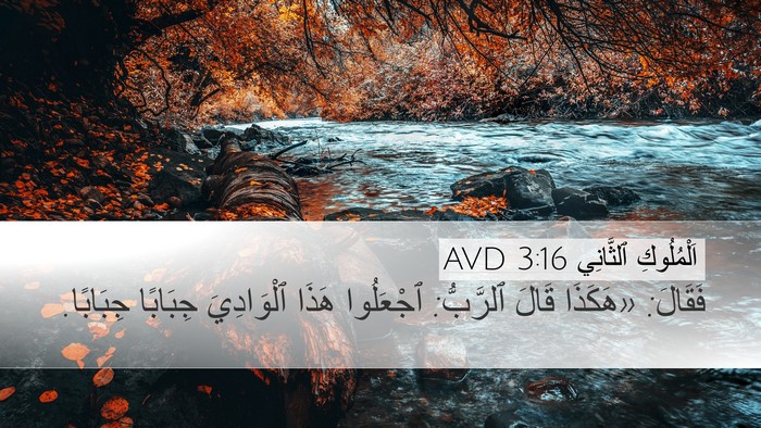 اَلْمُلُوكِ ٱلثَّانِي 3:16 AVD Desktop Wallpaper - فَقَالَ: «هَكَذَا قَالَ - Desktop Bible Verse Wallpaper