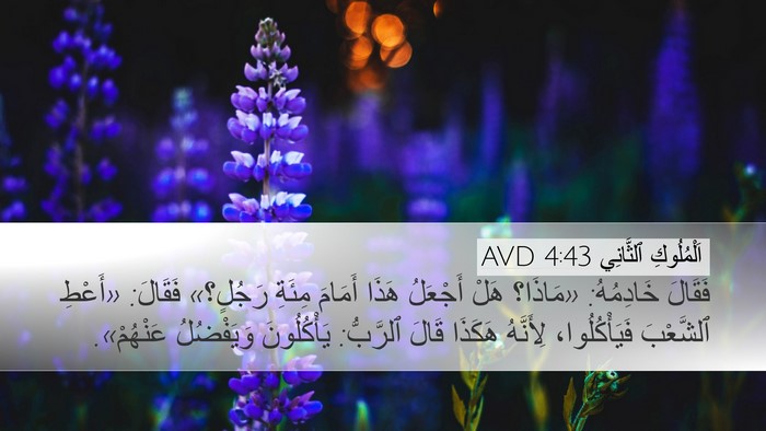 اَلْمُلُوكِ ٱلثَّانِي 4:43 AVD Bible Verse Image