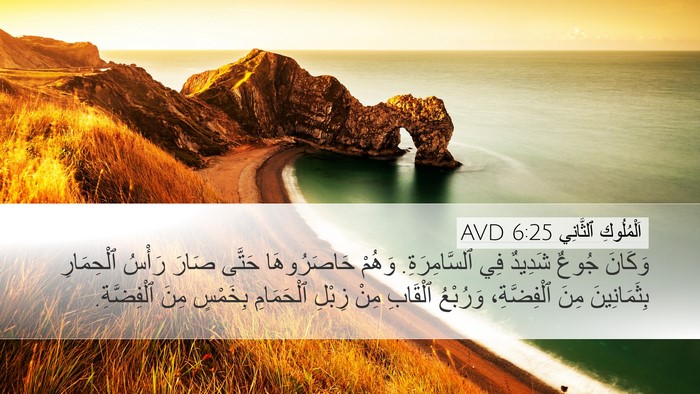 اَلْمُلُوكِ ٱلثَّانِي 6:25 AVD Bible Verse Image