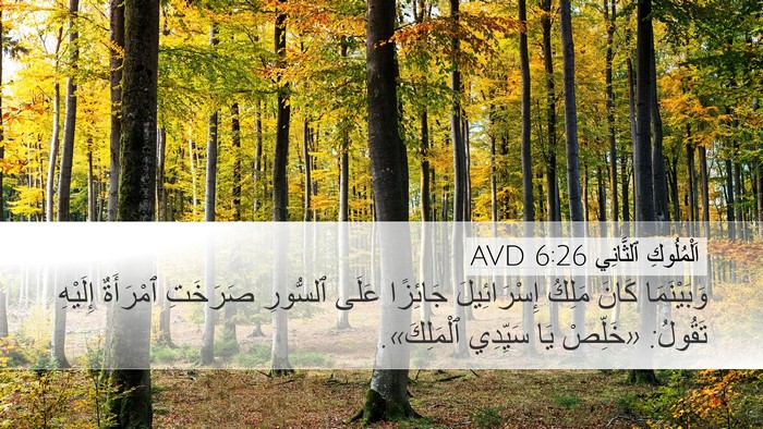 اَلْمُلُوكِ ٱلثَّانِي 6:26 AVD Bible Verse Image