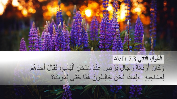 اَلْمُلُوكِ ٱلثَّانِي 7:3 AVD Bible Verse Image