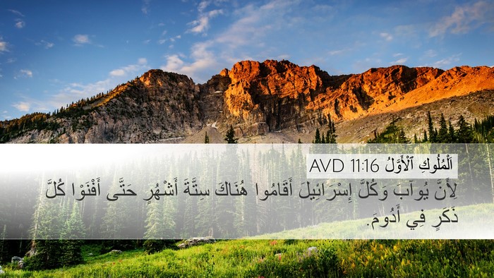 اَلْمُلُوكِ ٱلْأَوَّلُ 11:16 AVD Desktop Wallpaper - لِأَنَّ يُوآبَ وَكُلَّ - Desktop Bible Verse Wallpaper