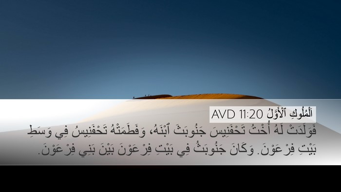 اَلْمُلُوكِ ٱلْأَوَّلُ 11:20 AVD Desktop Wallpaper - فَوَلَدَتْ لَهُ أُخْتُ - Desktop Bible Verse Wallpaper