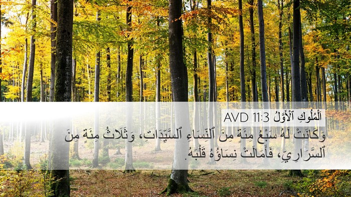 اَلْمُلُوكِ ٱلْأَوَّلُ 11:3 AVD Desktop Wallpaper - وَكَانَتْ لَهُ سَبْعُ - Desktop Bible Verse Wallpaper