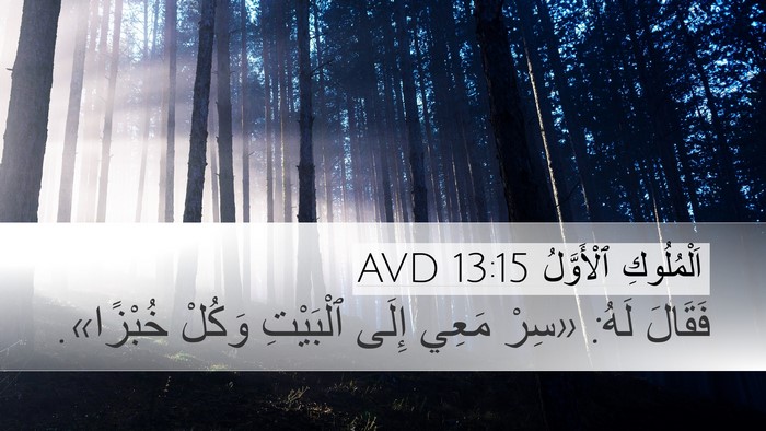 اَلْمُلُوكِ ٱلْأَوَّلُ 13:15 AVD Desktop Wallpaper - فَقَالَ لَهُ: «سِرْ مَعِي - Desktop Bible Verse Wallpaper