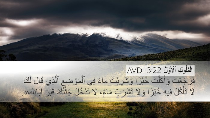 اَلْمُلُوكِ ٱلْأَوَّلُ 13:22 AVD Bible Verse Image