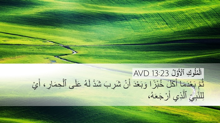 اَلْمُلُوكِ ٱلْأَوَّلُ 13:23 AVD Desktop Wallpaper - ثُمَّ بَعْدَمَا أَكَلَ - Desktop Bible Verse Wallpaper