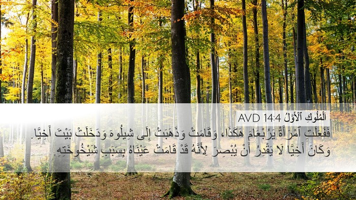 اَلْمُلُوكِ ٱلْأَوَّلُ 14:4 AVD Bible Verse Image