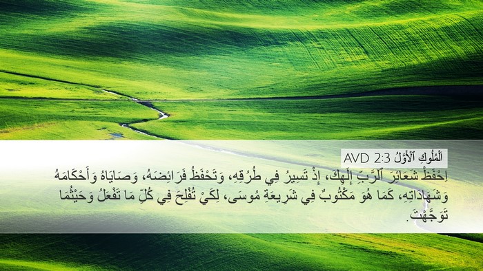 اَلْمُلُوكِ ٱلْأَوَّلُ 2:3 AVD Bible Verse Image