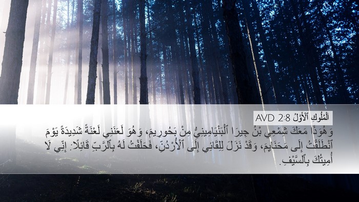 اَلْمُلُوكِ ٱلْأَوَّلُ 2:8 AVD Bible Verse Image