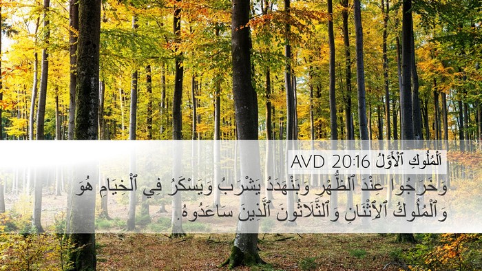 اَلْمُلُوكِ ٱلْأَوَّلُ 20:16 AVD Bible Verse Image