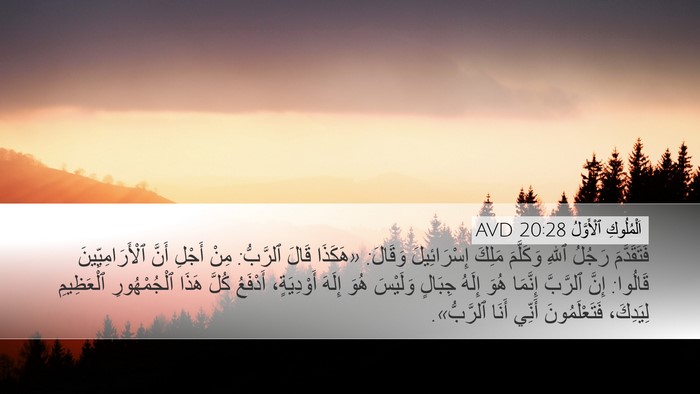 اَلْمُلُوكِ ٱلْأَوَّلُ 20:28 AVD Bible Verse Image