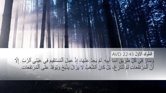 اَلْمُلُوكِ ٱلْأَوَّلُ 22:43 AVD Bible Verse Image