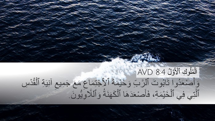 اَلْمُلُوكِ ٱلْأَوَّلُ 8:4 AVD Bible Verse Image