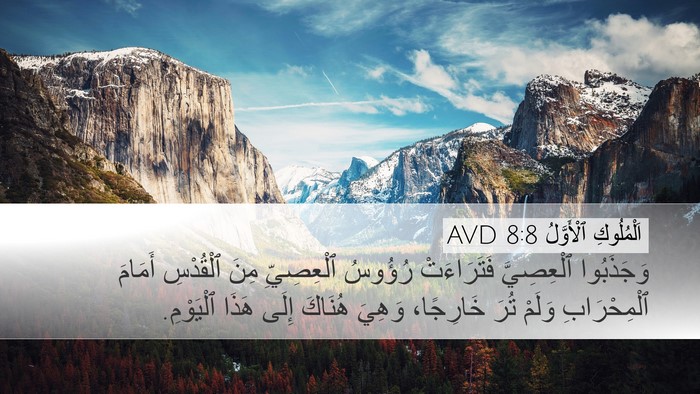 اَلْمُلُوكِ ٱلْأَوَّلُ 8:8 AVD Bible Verse Image