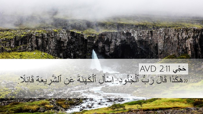 حَجَّي 2:11 AVD Bible Verse Image