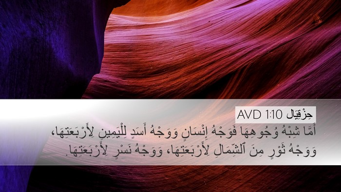 حِزْقِيَال 1:10 AVD Bible Verse Image