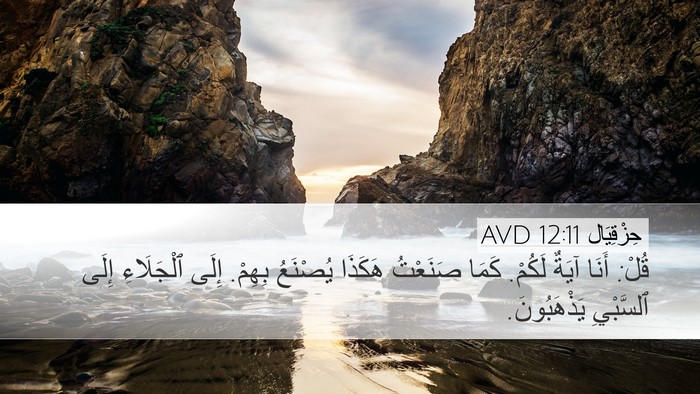 حِزْقِيَال 12:11 AVD Bible Verse Image