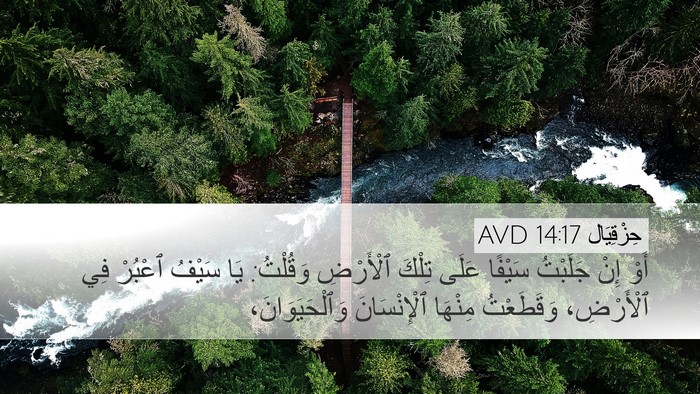 حِزْقِيَال 14:17 AVD Bible Verse Image