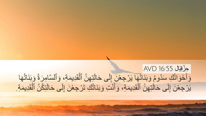 حِزْقِيَال 16:55 AVD Bible Verse Image