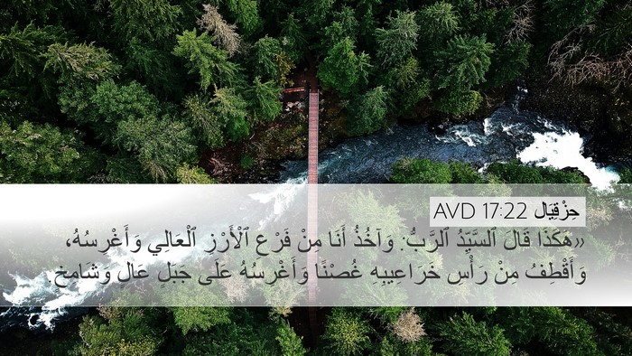 حِزْقِيَال 17:22 AVD Bible Verse Image