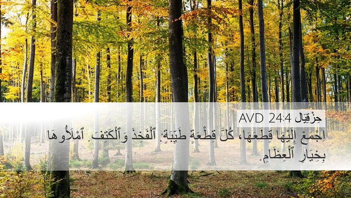 حِزْقِيَال 24:4 AVD Bible Verse Image