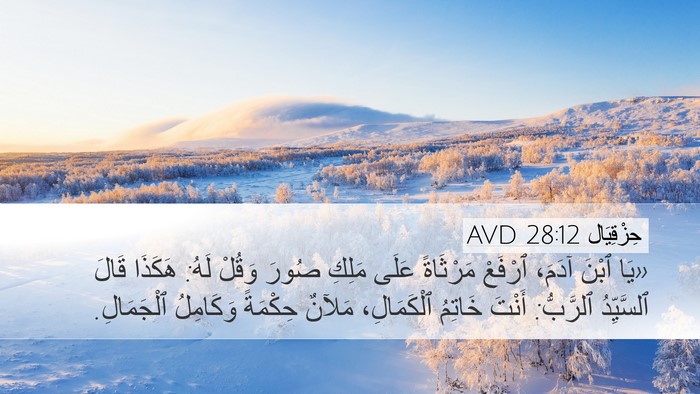 حِزْقِيَال 28:12 AVD Bible Verse Image