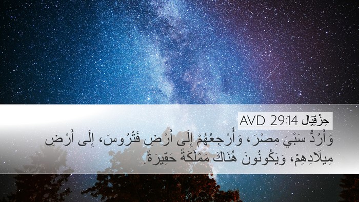 حِزْقِيَال 29:14 AVD Bible Verse Image