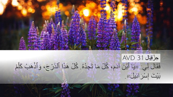 حِزْقِيَال 3:1 AVD Bible Verse Image