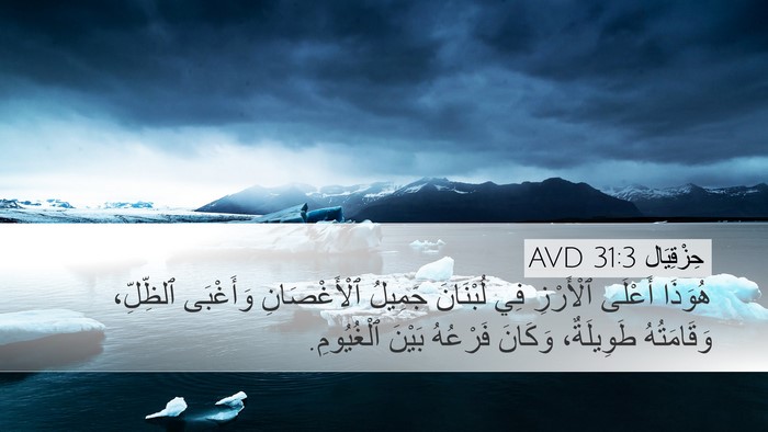 حِزْقِيَال 31:3 AVD Bible Verse Image