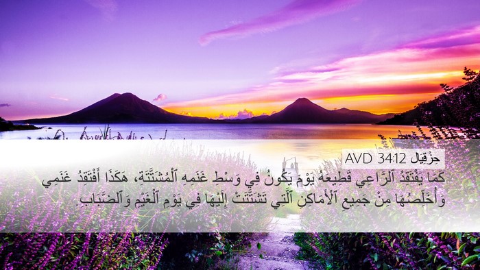 حِزْقِيَال 34:12 AVD Bible Verse Image