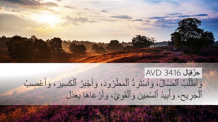 حِزْقِيَال 34:16 AVD Bible Verse Image