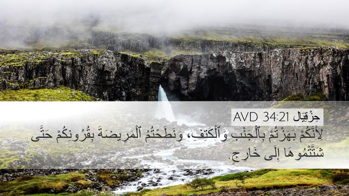حِزْقِيَال 34:21 AVD Bible Verse Image