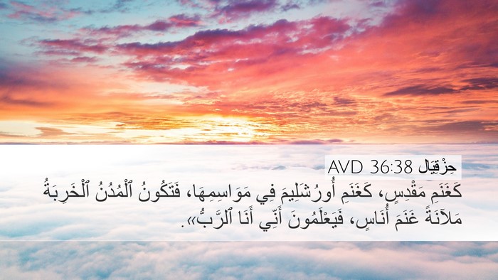 حِزْقِيَال 36:38 AVD Desktop Wallpaper - كَغَنَمِ مَقْدِسٍ، - Desktop Bible Verse Wallpaper
