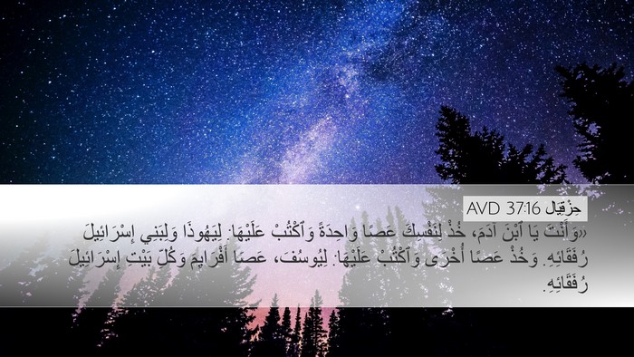 حِزْقِيَال 37:16 AVD Bible Verse Image
