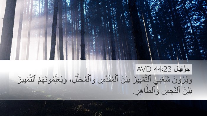 حِزْقِيَال 44:23 AVD Bible Verse Image
