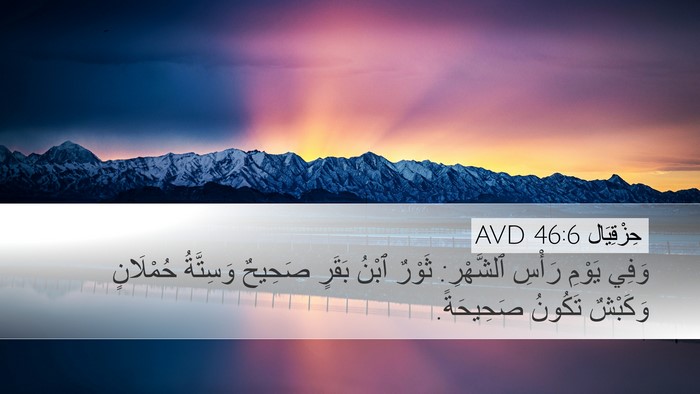 حِزْقِيَال 46:6 AVD Bible Verse Image