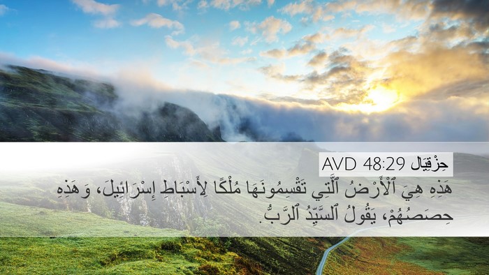 حِزْقِيَال 48:29 AVD Bible Verse Image