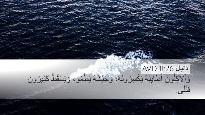 دَانِيآل 11:26 AVD Bible Verse Image