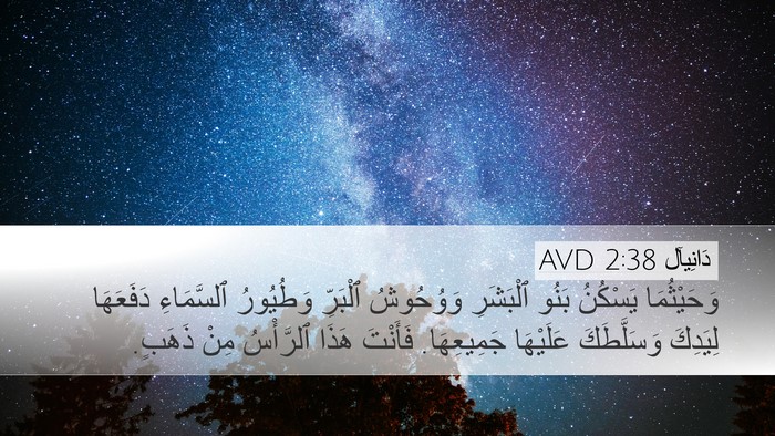 دَانِيآل 2:38 AVD Bible Verse Image
