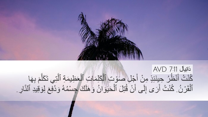 دَانِيآل 7:11 AVD Desktop Wallpaper - كُنْتُ أَنْظُرُ حِينَئِذٍ - Desktop Bible Verse Wallpaper