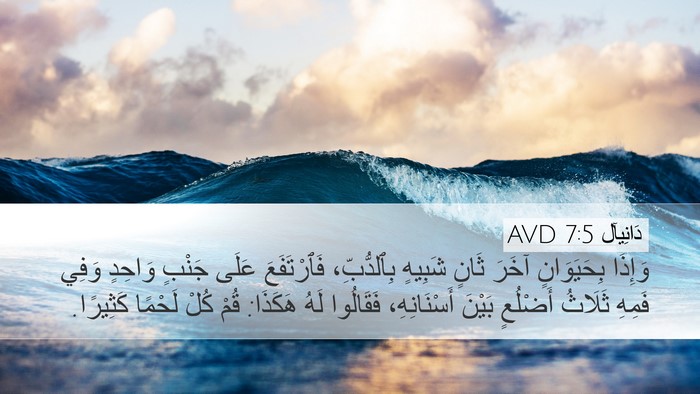 دَانِيآل 7:5 AVD Bible Verse Image