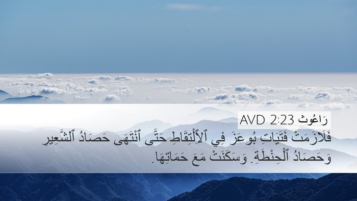 رَاعُوث 2:23 AVD Bible Verse Image