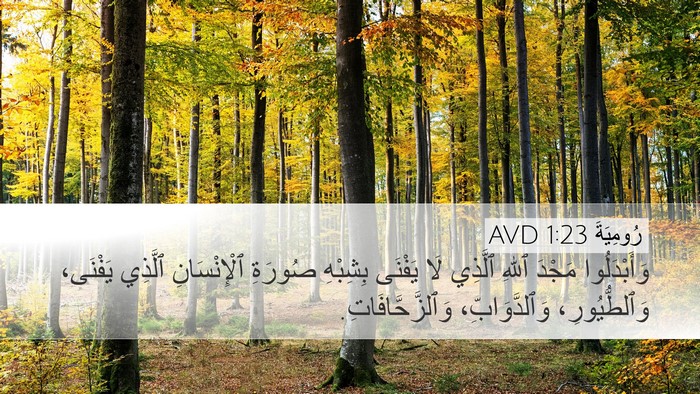 رُومِيَةَ 1:23 AVD Bible Verse Image