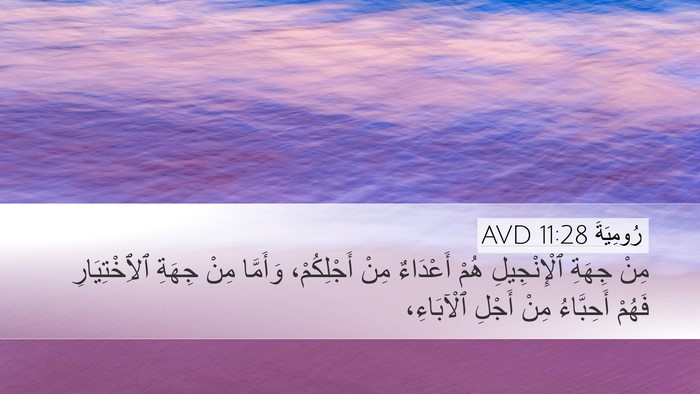 رُومِيَةَ 11:28 AVD Bible Verse Image