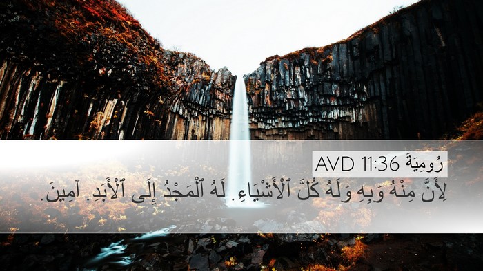 رُومِيَةَ 11:36 AVD Bible Verse Image